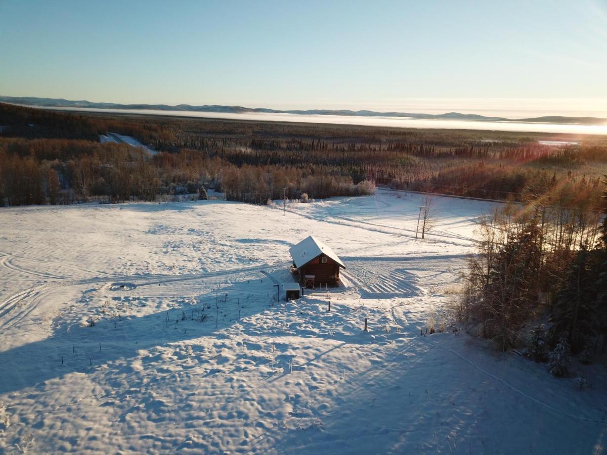 Secluded Log Cabin, 30 Min From Chena Hot Springs Pleasant Valley Екстериор снимка