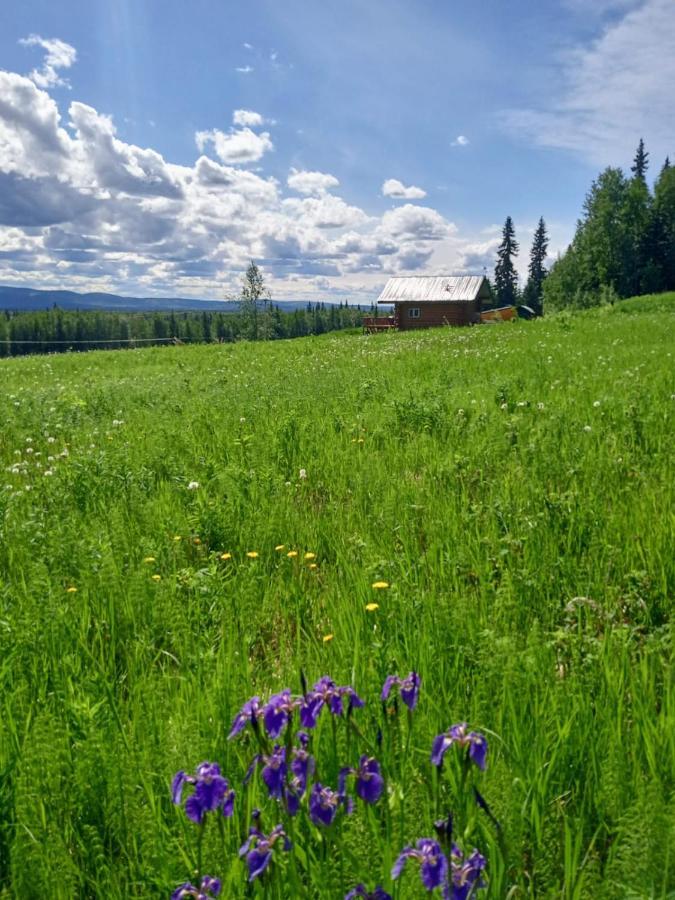 Secluded Log Cabin, 30 Min From Chena Hot Springs Pleasant Valley Екстериор снимка