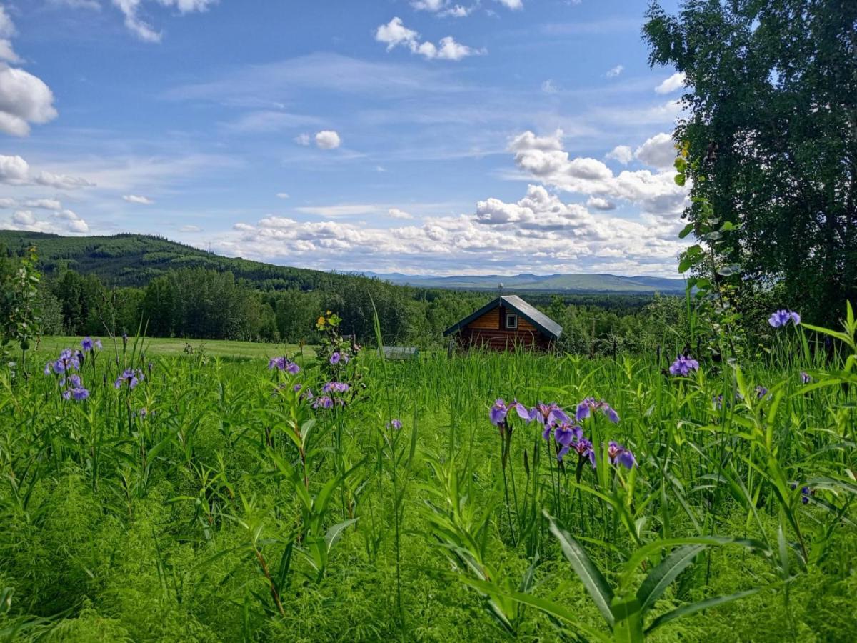 Secluded Log Cabin, 30 Min From Chena Hot Springs Pleasant Valley Екстериор снимка